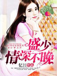 总裁情深不浅盛云洲